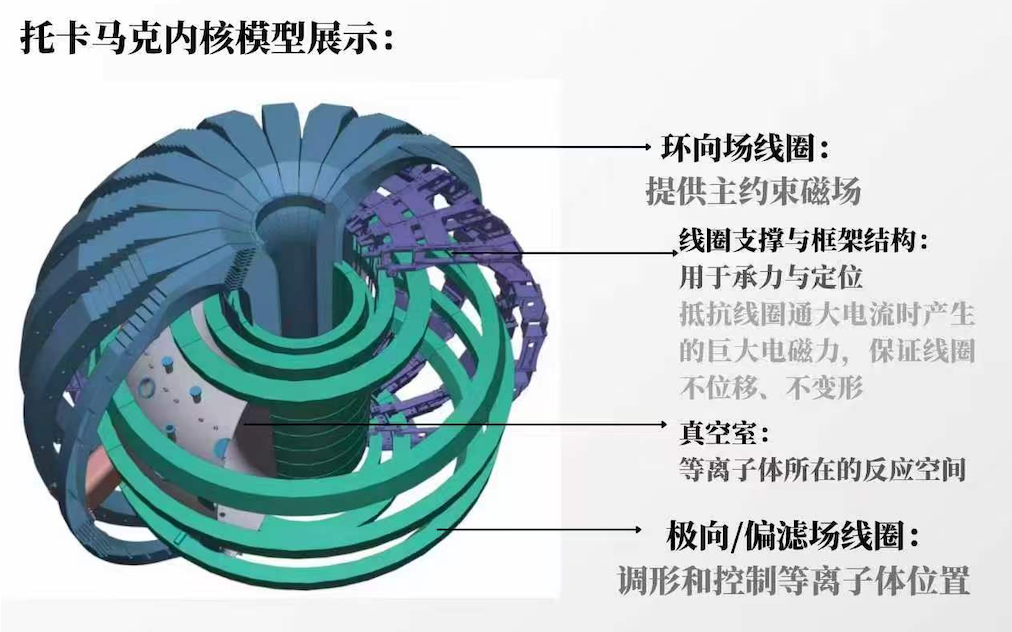 托卡马克内部结构模型